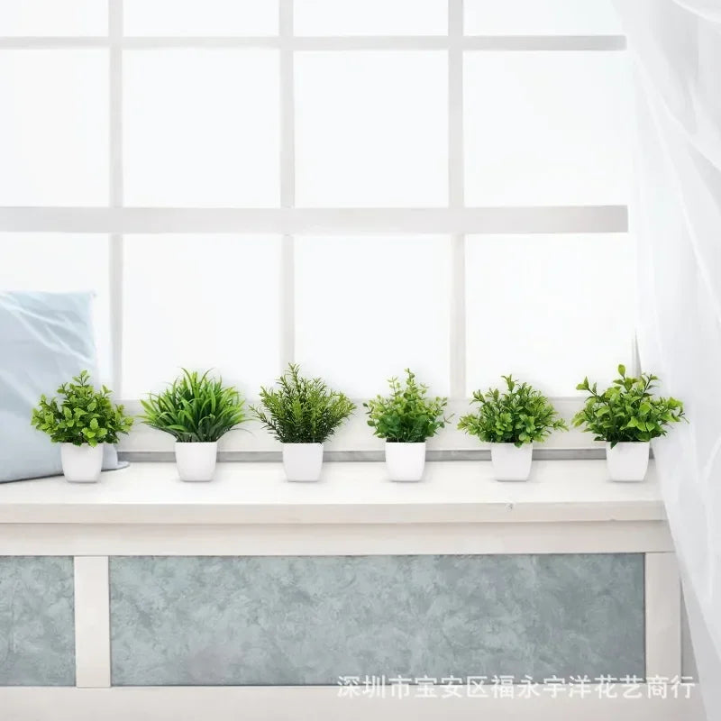Immergrüner Bonsai