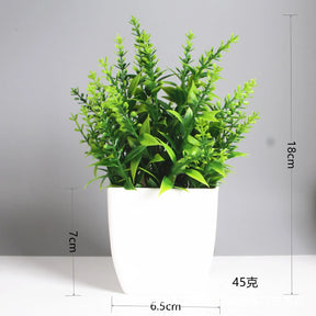 Immergrüner Bonsai