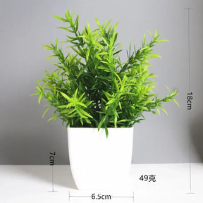 Immergrüner Bonsai